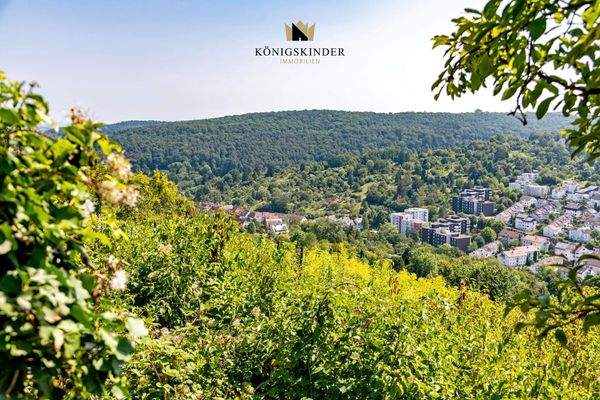 Aussicht_Garten_DSC3955