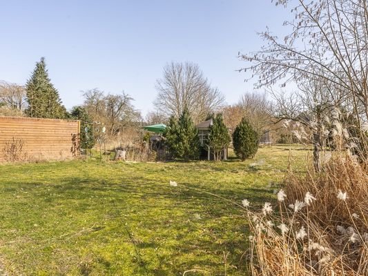 Blick in den Garten