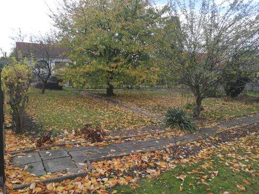 Blick in den Garten.jpg