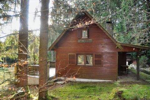 Bischofsgrün Häuser, Bischofsgrün Haus kaufen