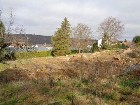 Kreuzwertheim Grundstücke, Kreuzwertheim Grundstück kaufen