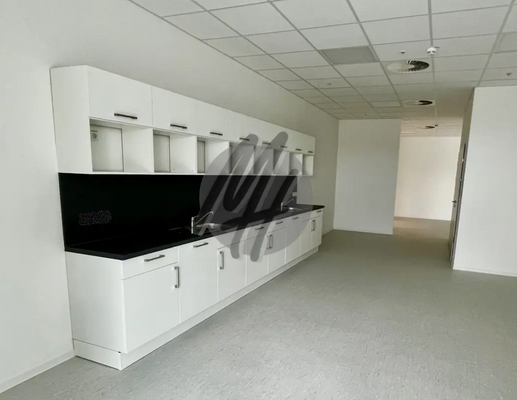 INFOS UNTER: 06171-586000