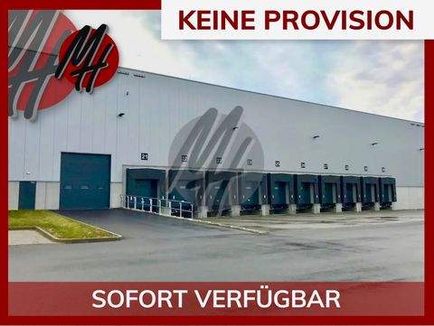 Koblenz Halle, Koblenz Hallenfläche