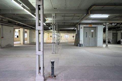 Ransbach-Baumbach Halle, Ransbach-Baumbach Hallenfläche