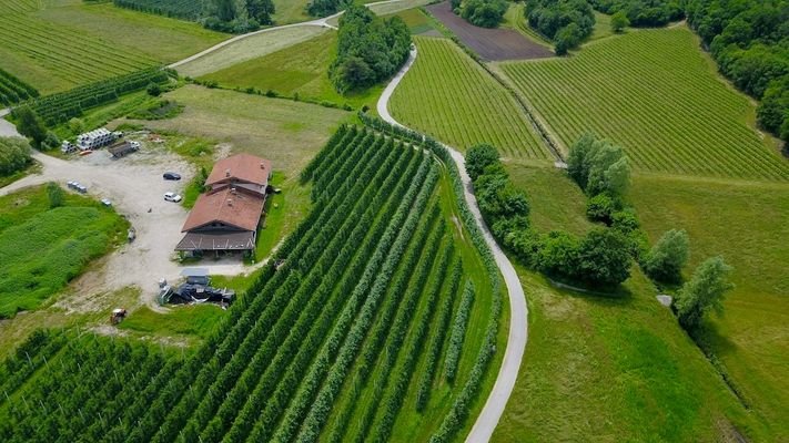 Obstbau-Apfelplantagen-Apfel-Trient-Haus-Kubatur-Bauen-Garage-Geräteschuppen-Frutticoltura-mela-frutteto-mela-Trento-casa-cubatura-edificio-garage-attrezzature-capannone