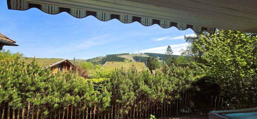 6. Blick v. WZ auf den Bocksberg.jpg