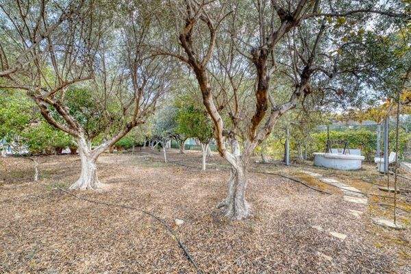 Kyani Akti Kalyves Sea View Property For Sale In C