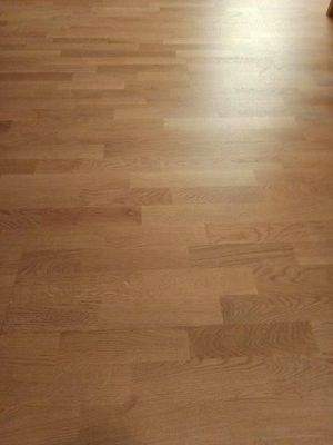 IMG_20251028_160932 (2).jpg