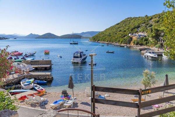 Direkt in der ersten Reihe