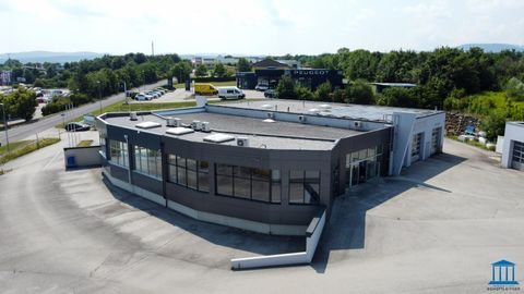 Neunkirchen Halle, Neunkirchen Hallenfläche