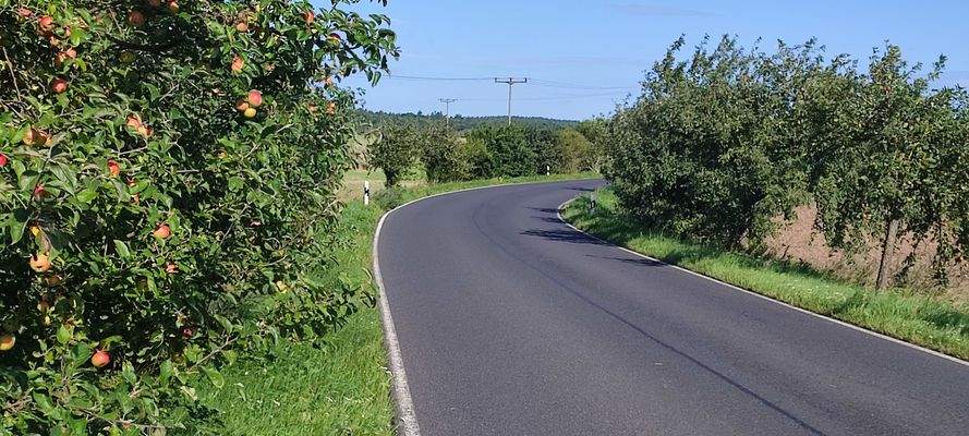 Apfelallee