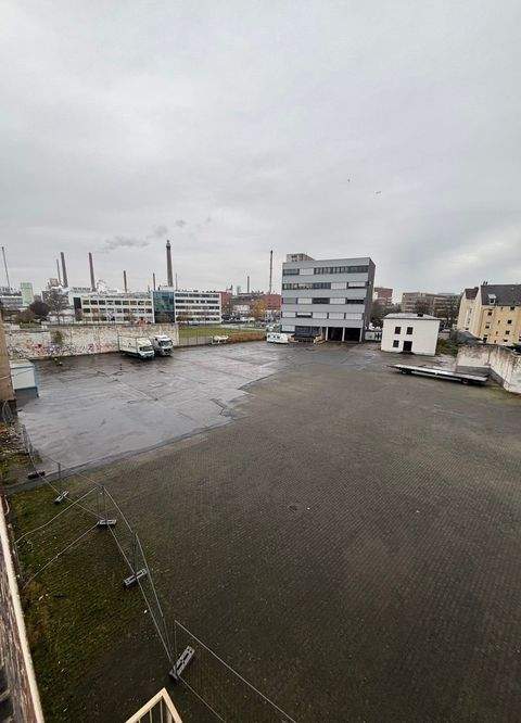 Leverkusen Halle, Leverkusen Hallenfläche