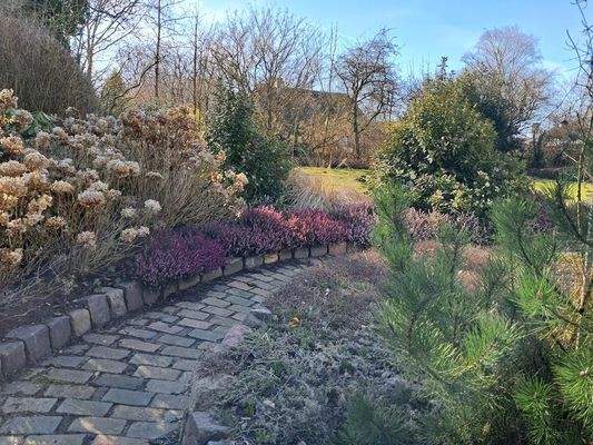 Liebevoll angelegter Garten