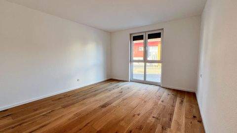 Ilsfeld / Auenstein Wohnungen, Ilsfeld / Auenstein Wohnung mieten