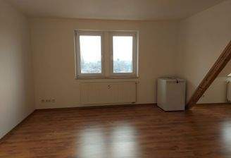 Wohn- und Schlafzimmer