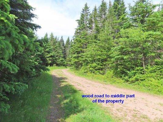 Cape Breton - Soldiers Cove - 13,6 Hektar-Areal mi