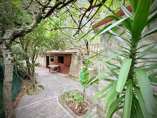 RO984_TERRA ITALIA IMMOBILIEN_REAL ESTATE_LAND_FOR