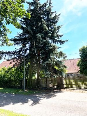 Grundstück von der Strasse
