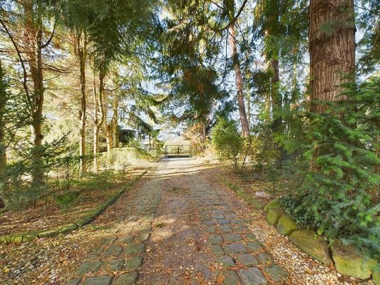 Naturbelassenes Gartengrundstück mit Bungalow