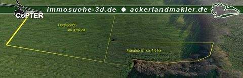 Rakow / Pepelow Bauernhöfe, Landwirtschaft, Rakow / Pepelow Forstwirtschaft