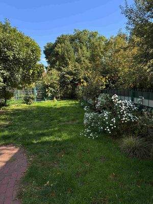 Blick in Richtung Stadtpark