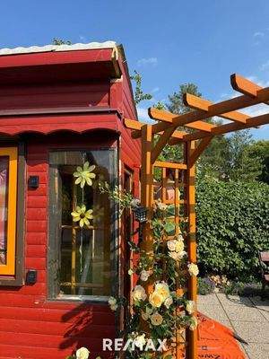 Auch die Rosen fühlen sich hier wohl