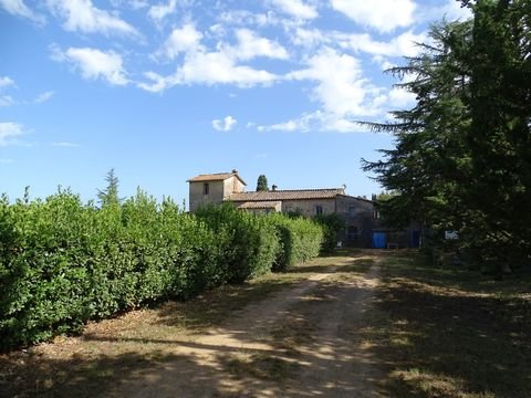 Siena Bauernhöfe, Landwirtschaft, Siena Forstwirtschaft