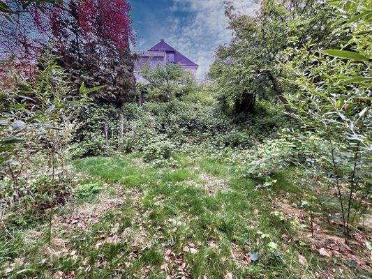 Blick von der zweiten Ebene des Gartens