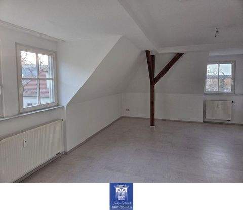 Riesa Wohnungen, Riesa Wohnung mieten