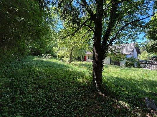 Hinteres Grundstück