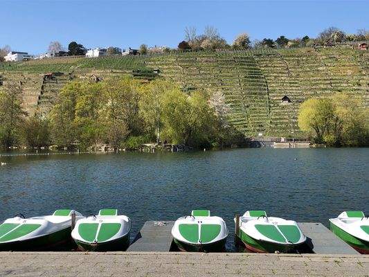 See und Weinberge.JPG