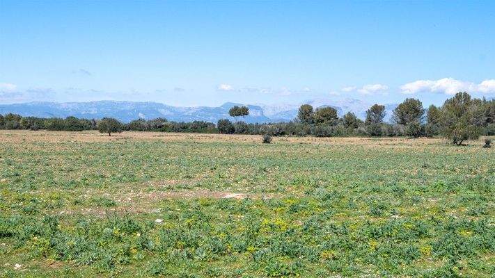 Algaida Mallorca Landhaus zum Verkauf Blick 92303