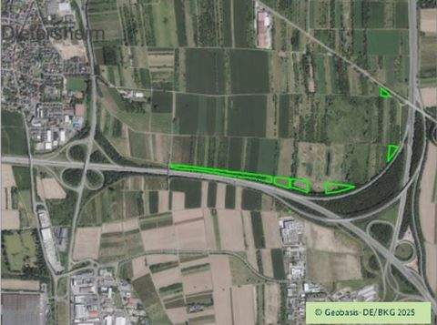 Bingen am Rhein Bauernhöfe, Landwirtschaft, Bingen am Rhein Forstwirtschaft