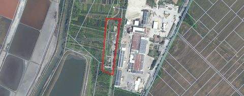 Burgas Industrieflächen, Lagerflächen, Produktionshalle, Serviceflächen