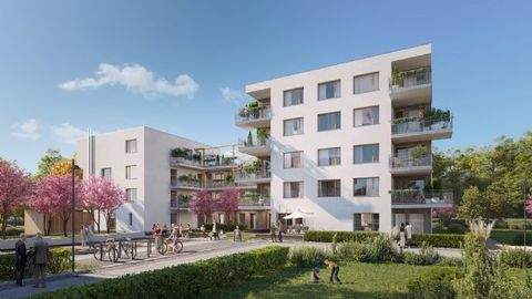 Waldshut-Tiengen Wohnungen, Waldshut-Tiengen Wohnung mieten