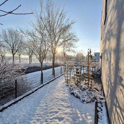 Winterimpressionen - Ostseite