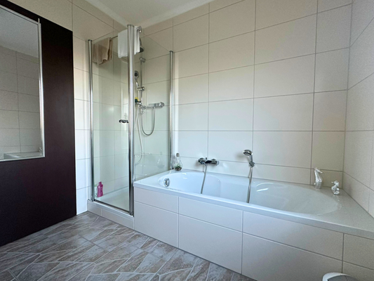 Badezimmer Hauptwohnung 