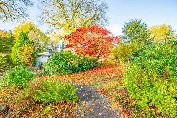 EFH-22946-Trittau-Thonhauser-Immobilien-GmbH-1-14