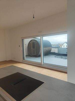 Fasssauna Penthouse.jpg