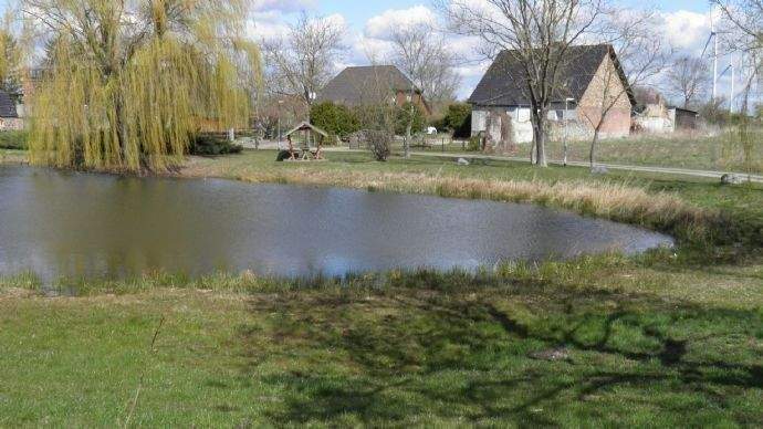 Schöner Dorfteich an Zufahrt zum Verkaufsobjekt