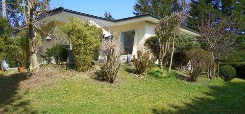 Baierbrunn Häuser, Baierbrunn Haus kaufen