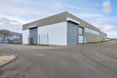 Bopfingen Halle, Bopfingen Hallenfläche