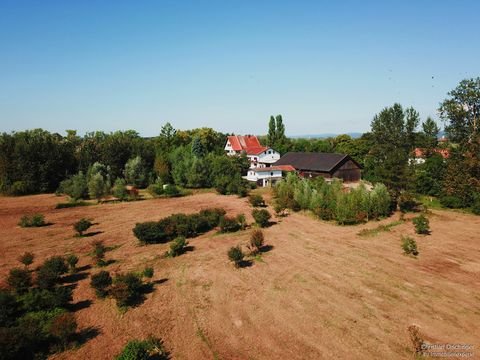 Straubing Häuser, Straubing Haus kaufen