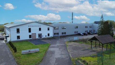 Dingelstädt Halle, Dingelstädt Hallenfläche