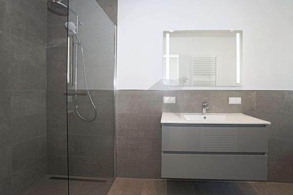 Dusche und Waschtisch
