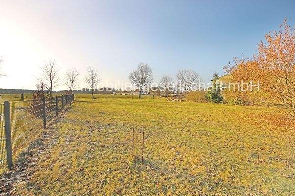 Blick auf das Grundstück