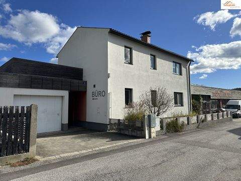 Ternitz Halle, Ternitz Hallenfläche