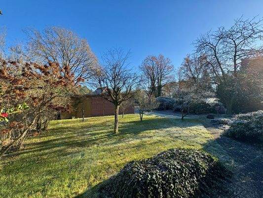 Ansicht Garten vorne 