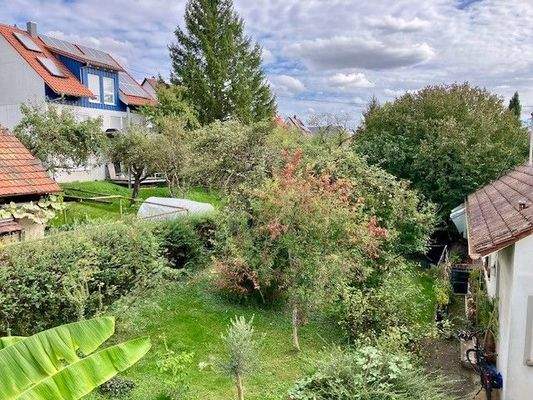 Blick in den Garten.jpg