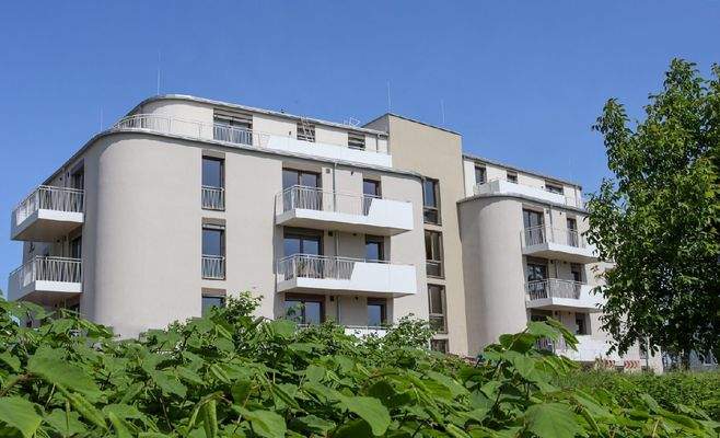 Bearbeitet_IMG_3284